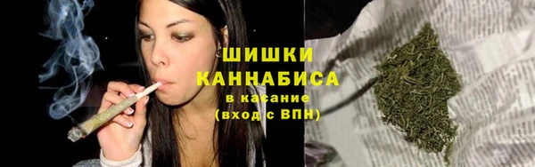 стафф Богородицк