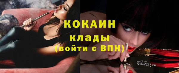 стафф Богородицк